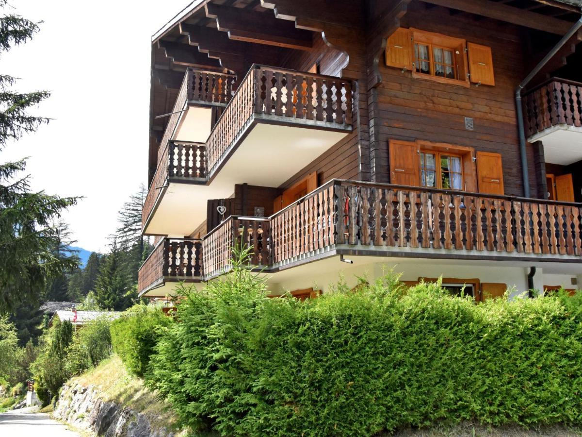Colline 8 Appartement