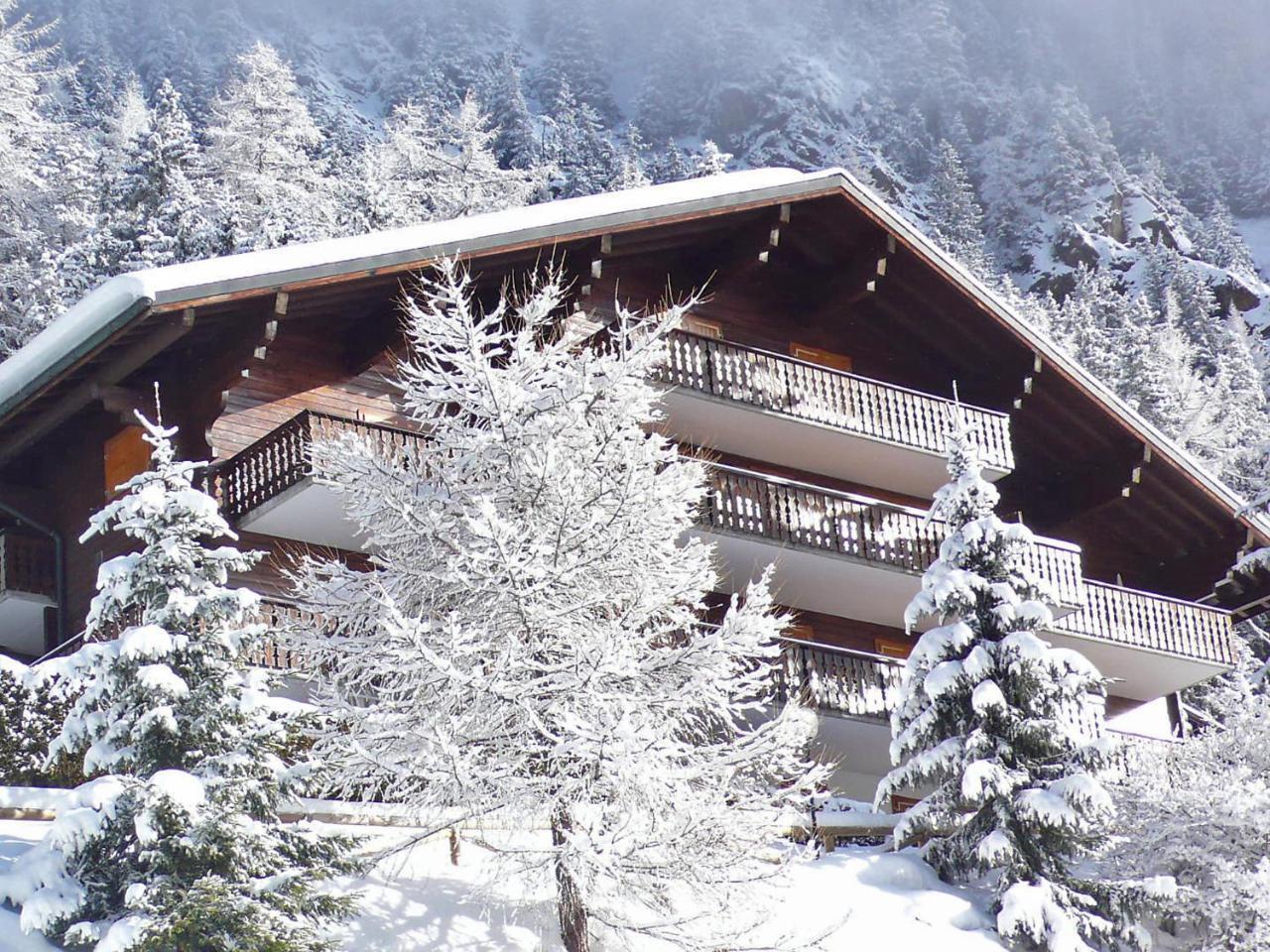 Colline 8 * Champex-Lac